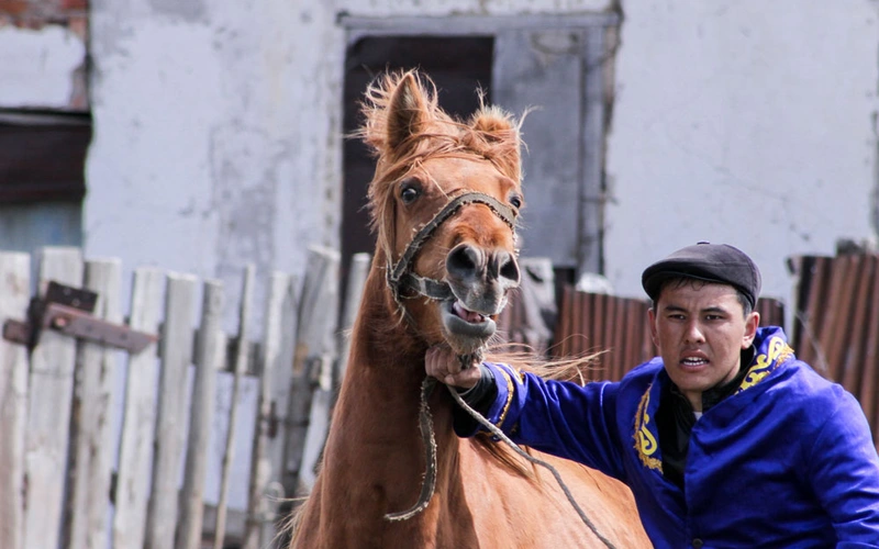 Traditional Spring Festive Rites of Kazakh Horse Breeders 썸네일