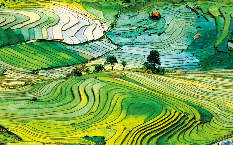 An Ecological Turn in the Post-COVID-19 Era and the Future of Intangible Cultural Heritage 썸네일