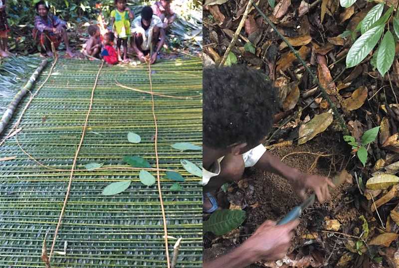 Ethnobotany of Malaysia 썸네일