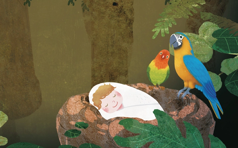 Amal Biso (Bird Girl) A Folktale from North Western Province, Sri Lanka 썸네일