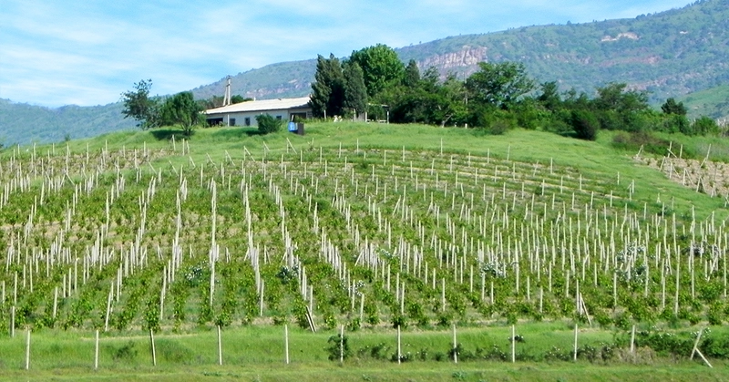Traditional Gardening Knowledge and Skills among Tajik People 썸네일