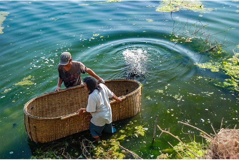 Bamboo Fish Traps of Northwestern Luzon 썸네일