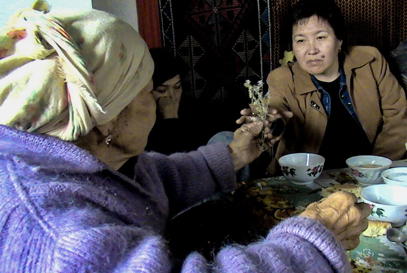 The Use of Medical Herbs in Kyrgyz Traditional Medicine 썸네일
