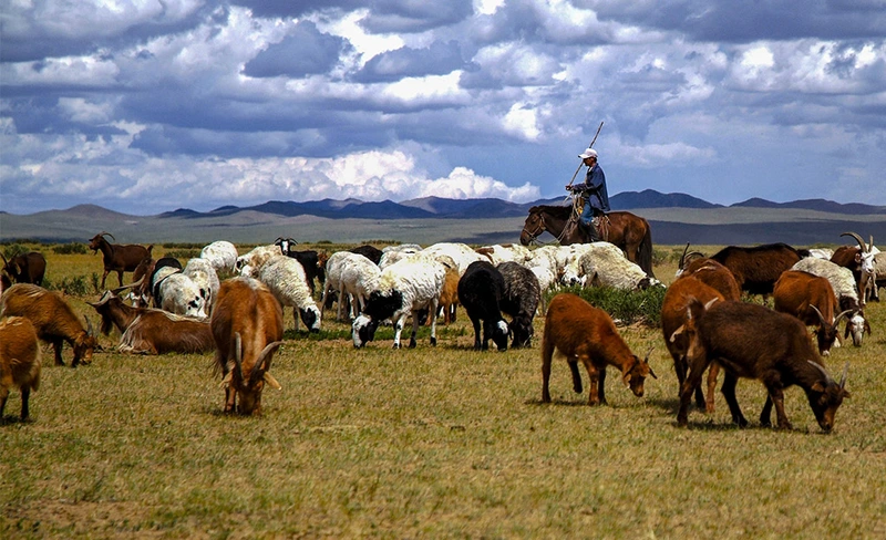 Making an Inventory of Mongolian ICH 썸네일