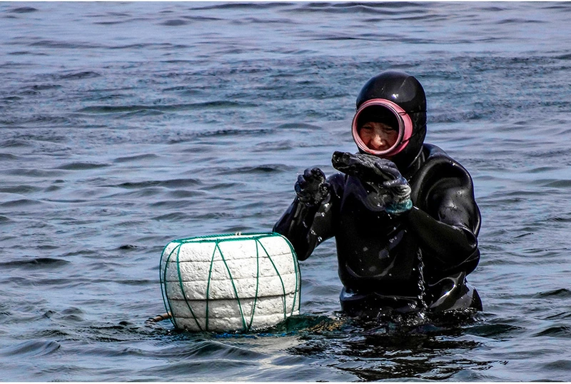 The Diving Skills and Traditional Knowledge of Haenyeo, Korean Women Divers 썸네일