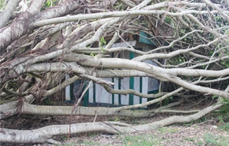 &ldquo;Natural&rdquo; Disasters and Intangible Cultural Heritage 썸네일