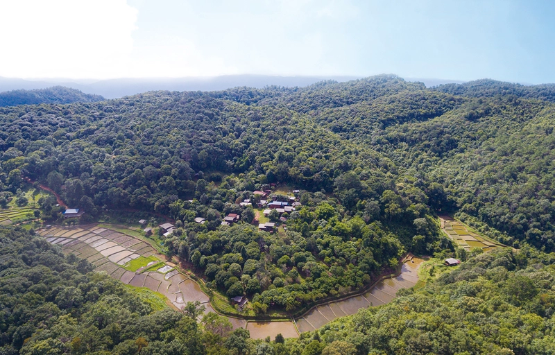 Intertwining Indigenous Living Heritage and Biodiversity: A Holistic Framework for Sustainable Development 썸네일