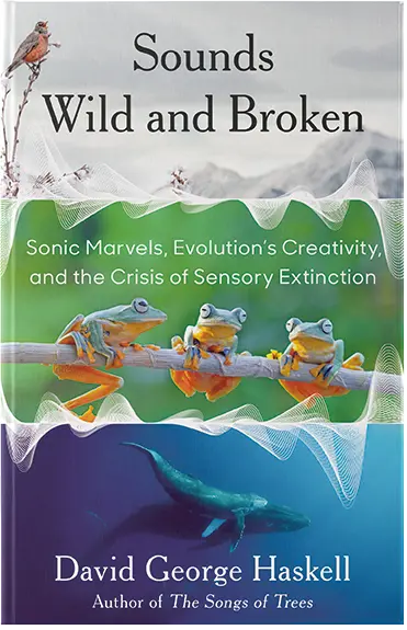 Sounds Wild and Broken: Sonic Marvels, Evolution's Creativity, and the Crisis of Sensory Extinction 썸네일
