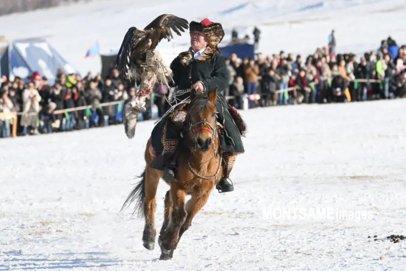 2025 Eagle Festival in Ulaanbaatar, Mongolia Showcases Traditional Hunting Techniques