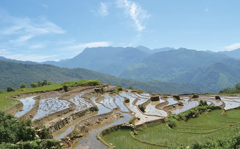 Keepers of the Forest: The Black Hani People's Wisdom in Conservation 썸네일