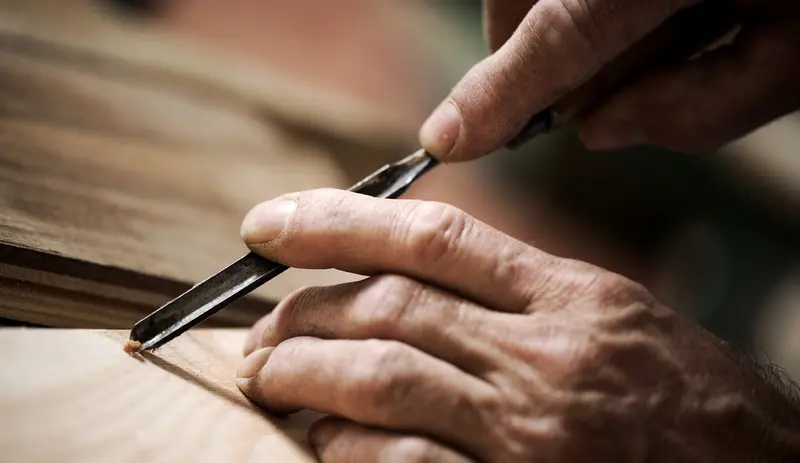 The Hand: An Ecological Alternative in the Era of Climate Crisis
