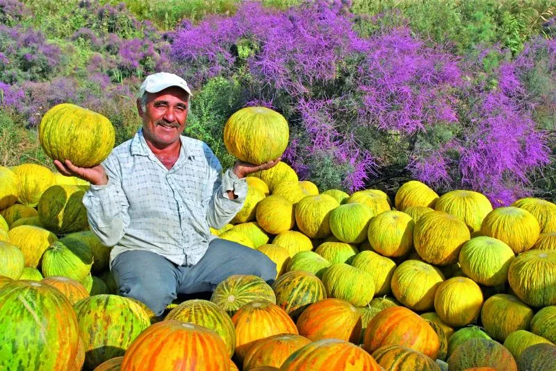 The Role of Intangible Cultural Heritage in Promoting  Rural Tourism in Uzbekistan 썸네일