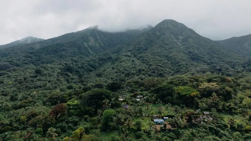 Many Responsibilities, One Commitment: Living Heritage in Tonga and Vanuatu