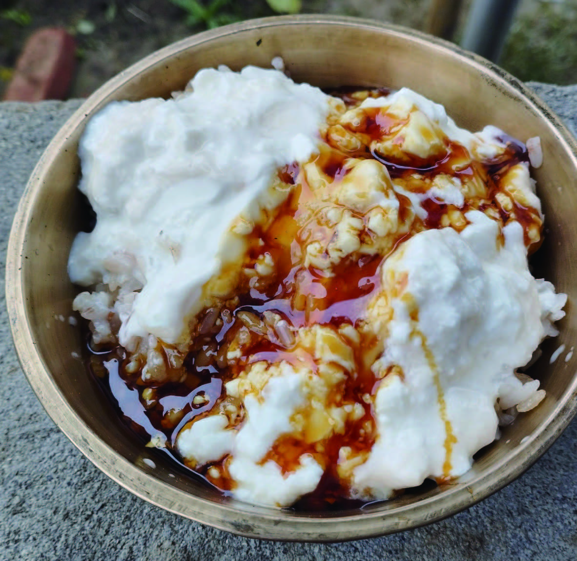 Jolpan made with soaked komal saul, curd and molted jaggery© Puspanjalee Das Dutta