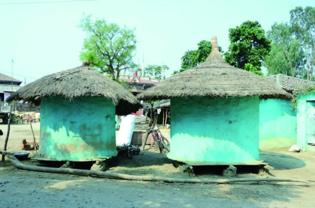Traditional Kothi with thatch roof © Sapana Sanjeevani