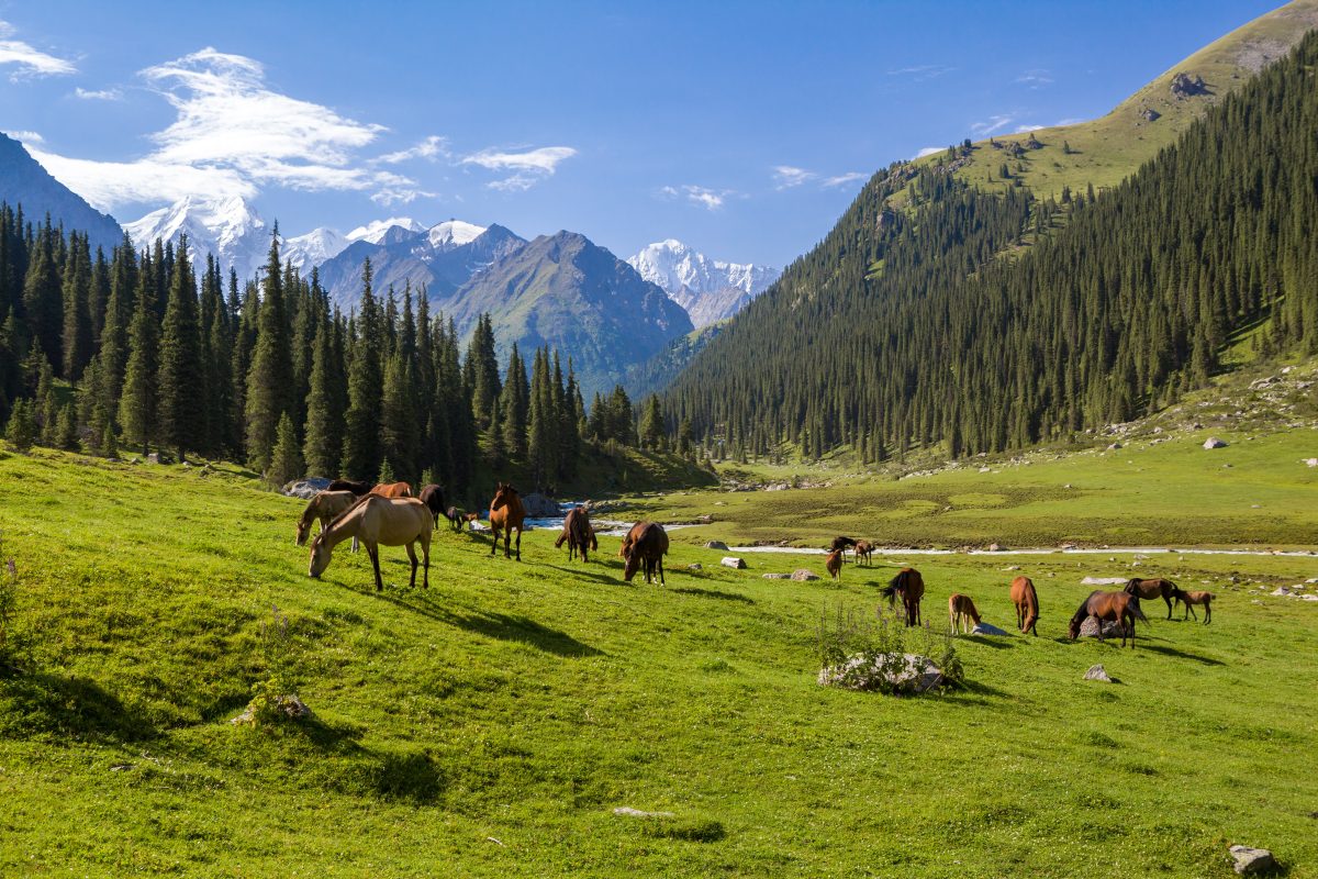 Kyrgyzstan landscape © Clipartkorea